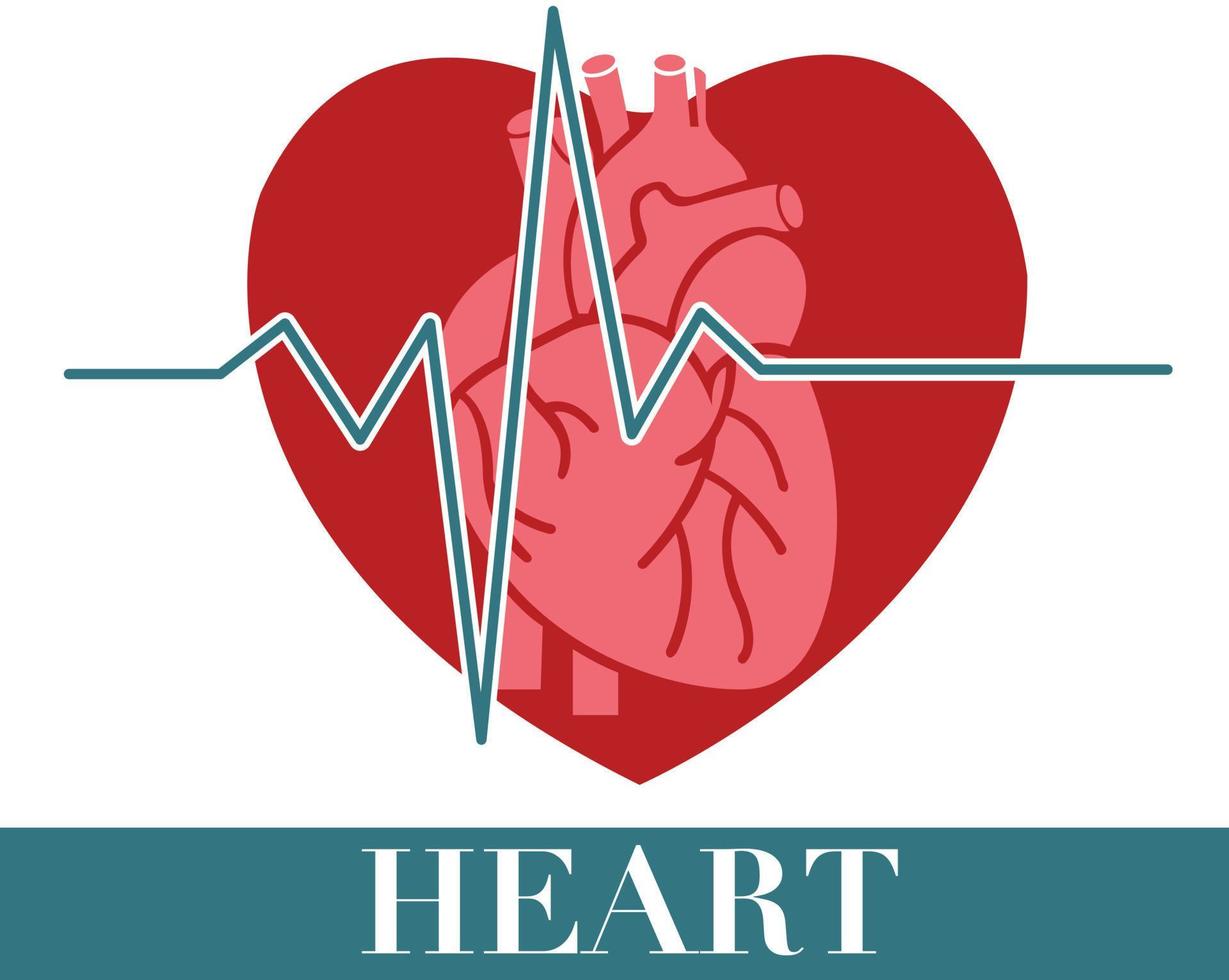 Ilustración de vector de icono de corazón.