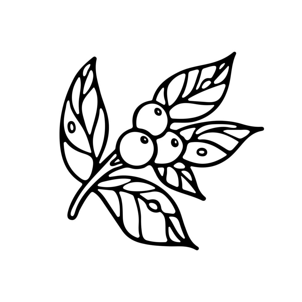 branche con hojas y bayas esbozan la ilustración del vector del garabato. aislado sobre fondo blanco. diseño de botánica para colorear libro
