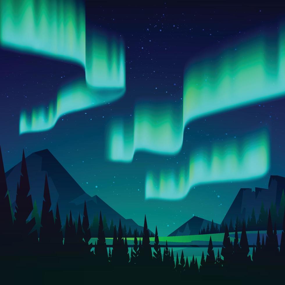 aurora boreal en el cielo del bosque vector