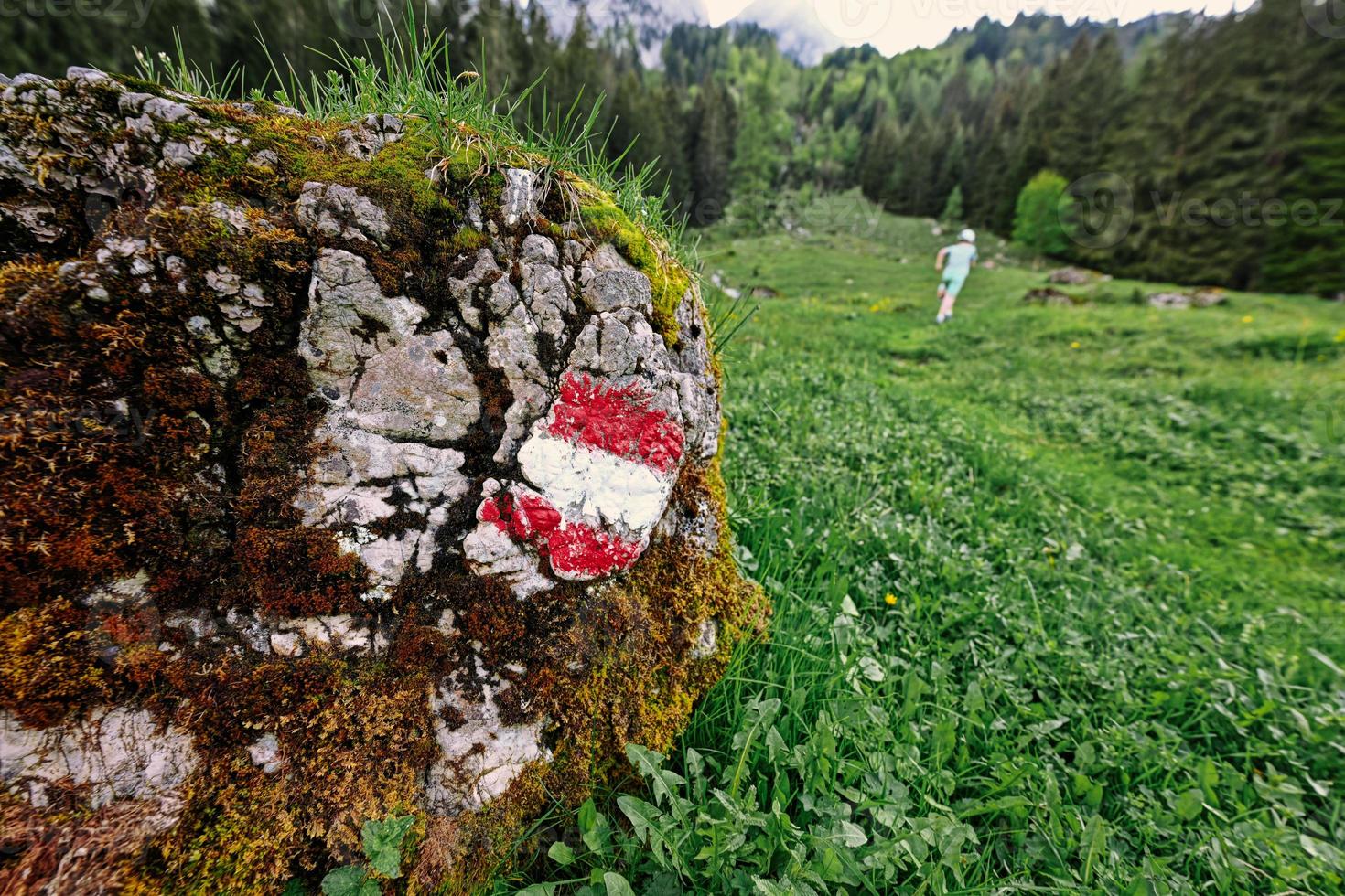 Asutria flag sign in stone mountains at Vorderer Gosausee, Gosau. photo