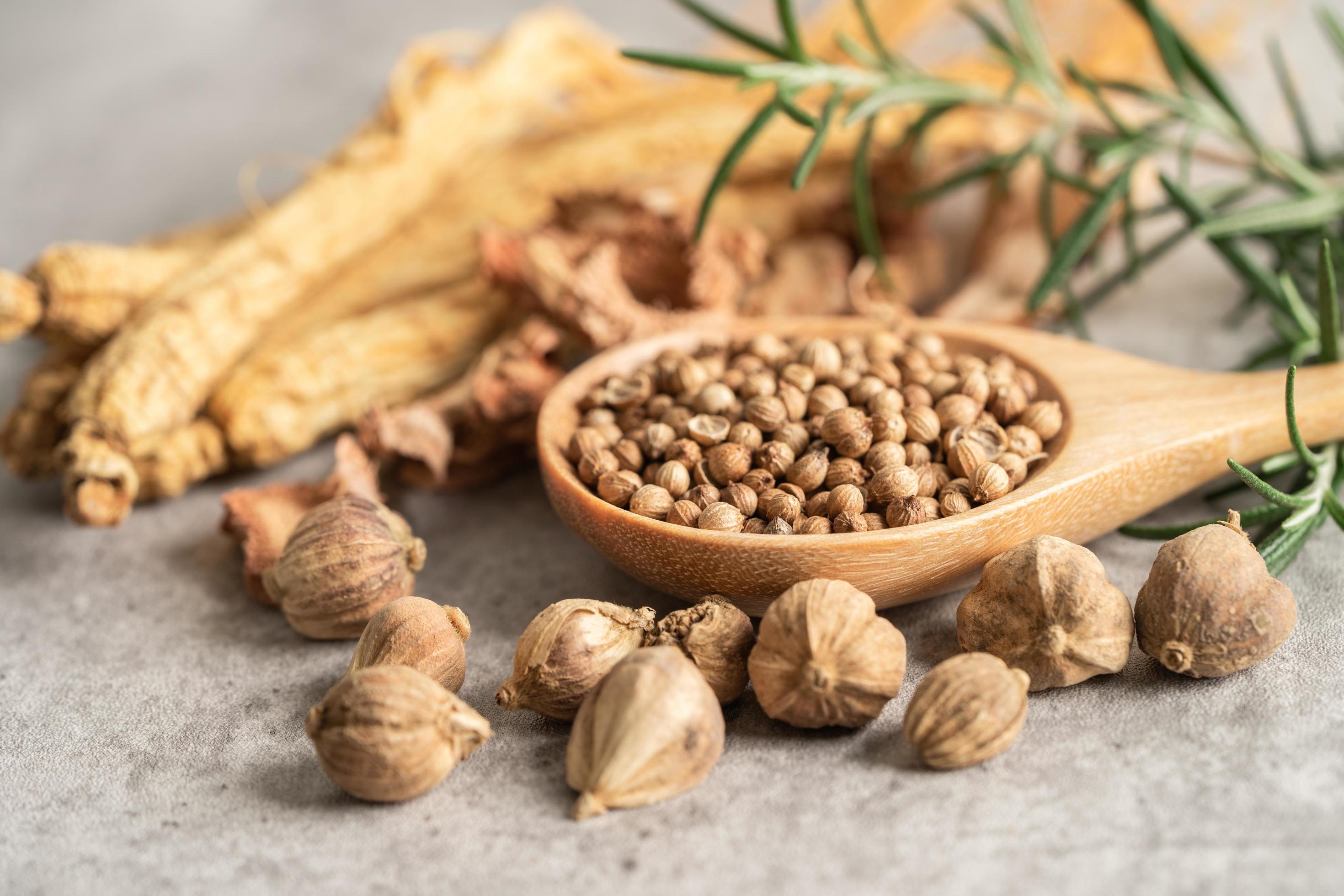 Coriander and siam cardamom, Amomum krervanh Pierre, Asia dried spices