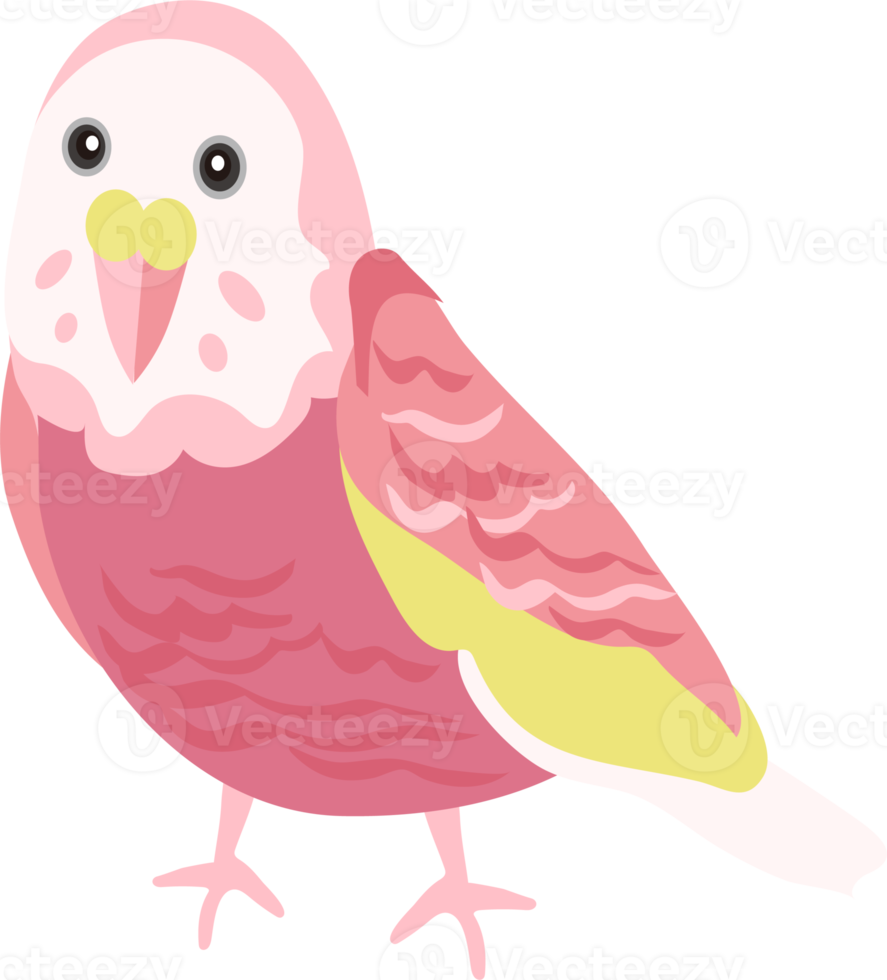 cute cartoon parrot illustration png