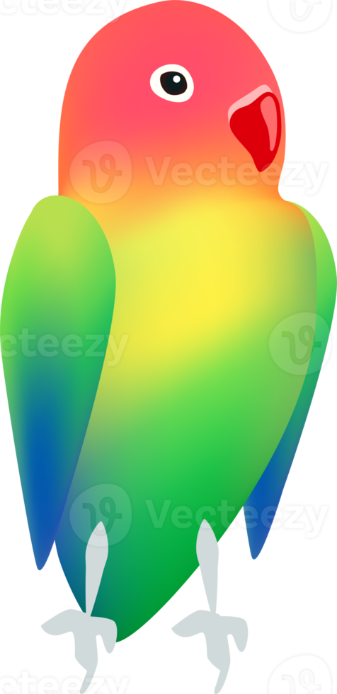 cute cartoon love bird png
