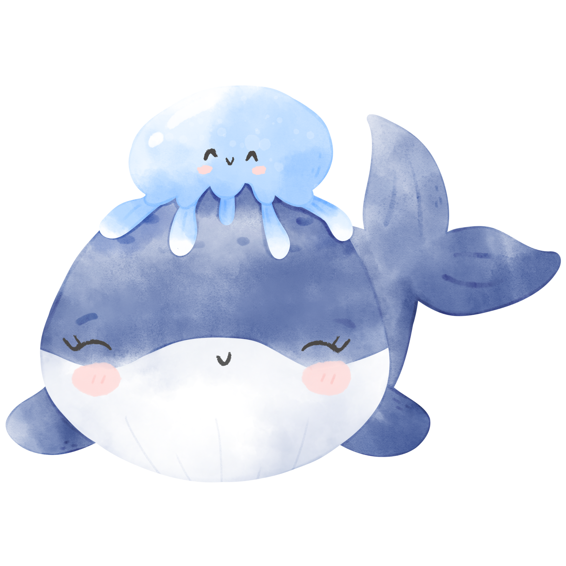 cute baby whale 12414717 PNG