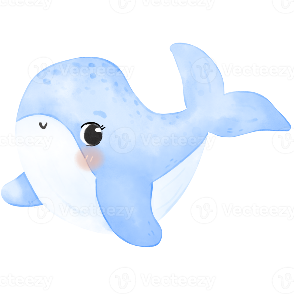 cute baby whale png