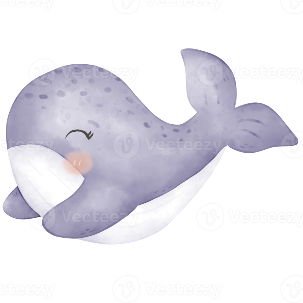 cute baby whale png