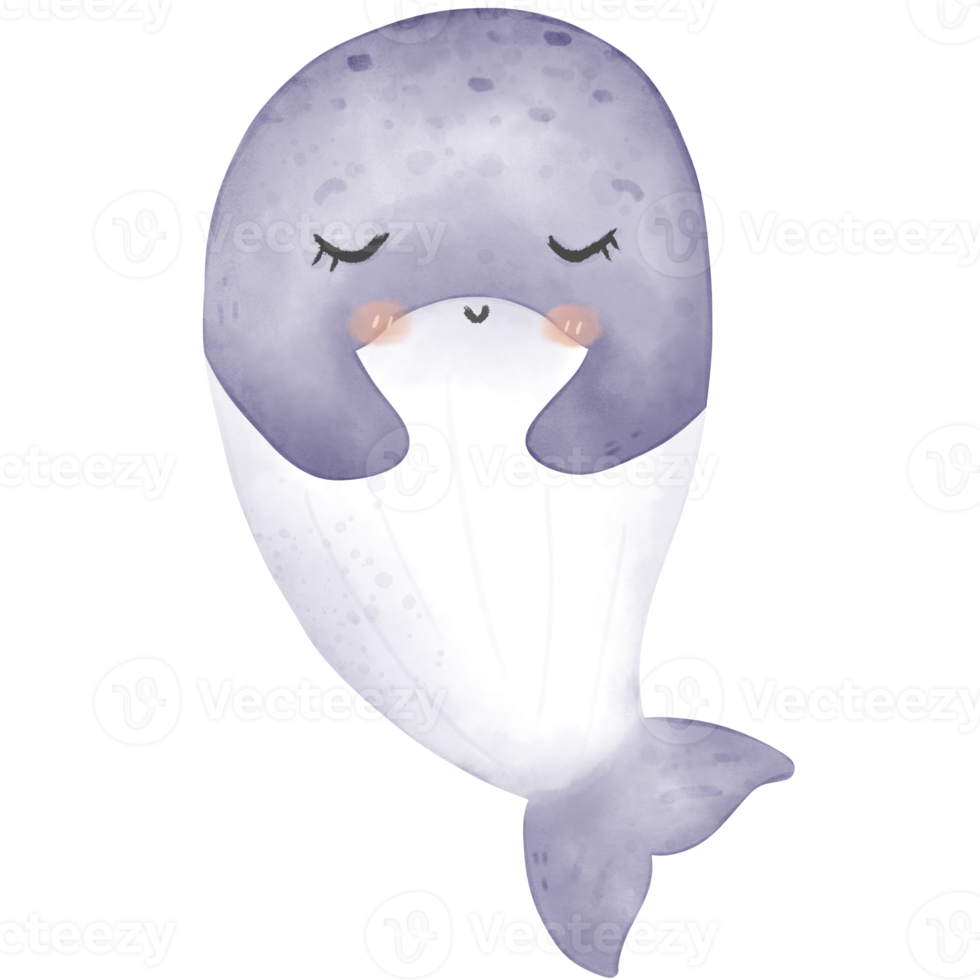 cute baby whale png