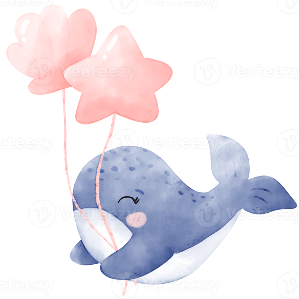 cute baby whale png