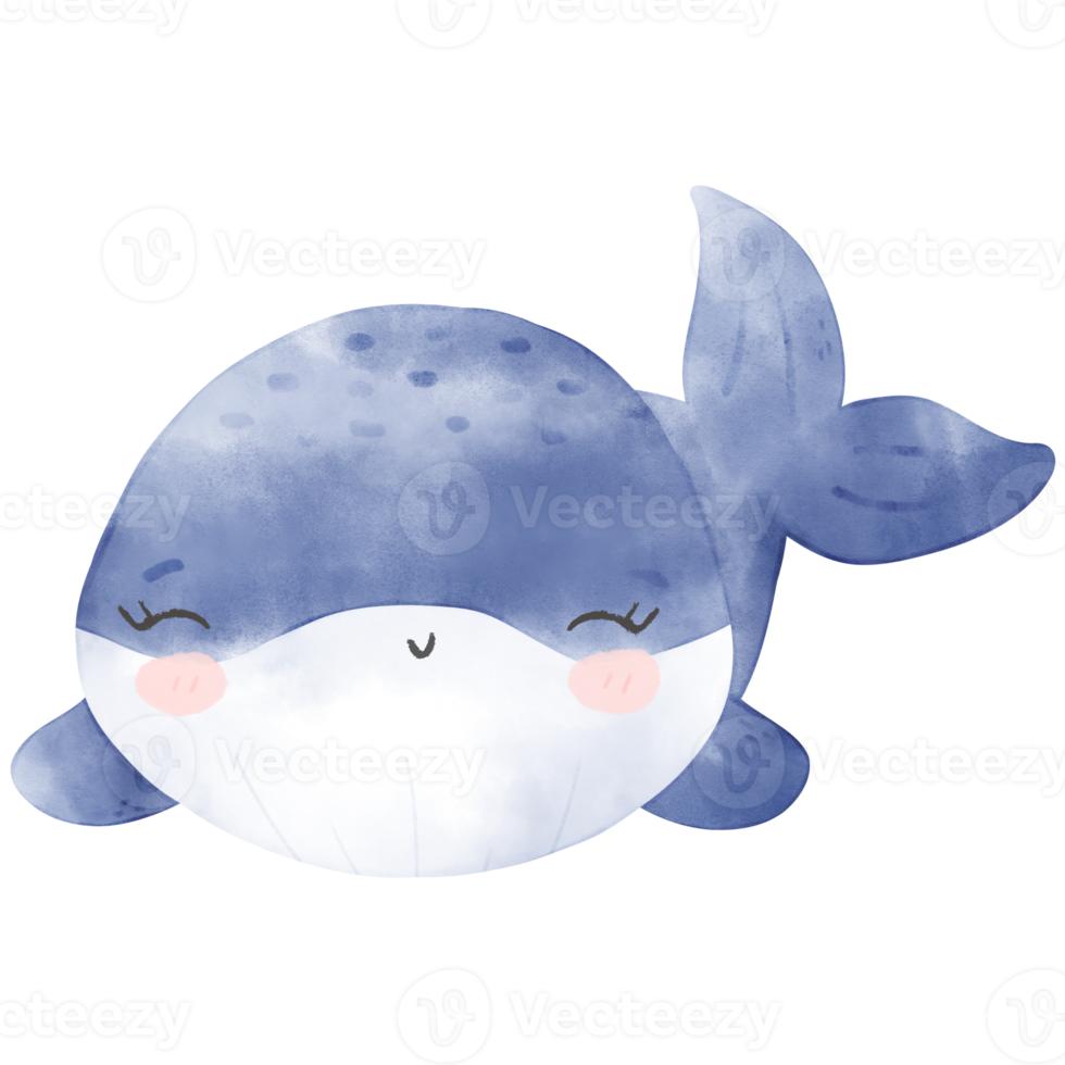 cute baby whale png