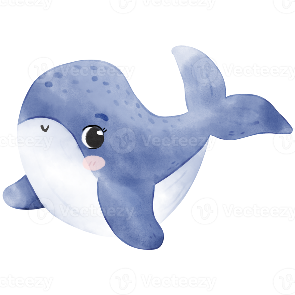 cute baby whale png