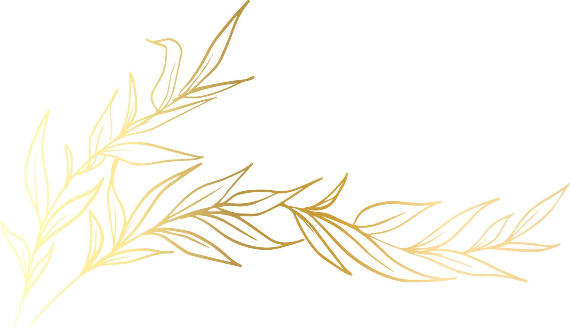 Gold Leaf Line 12414923 PNG