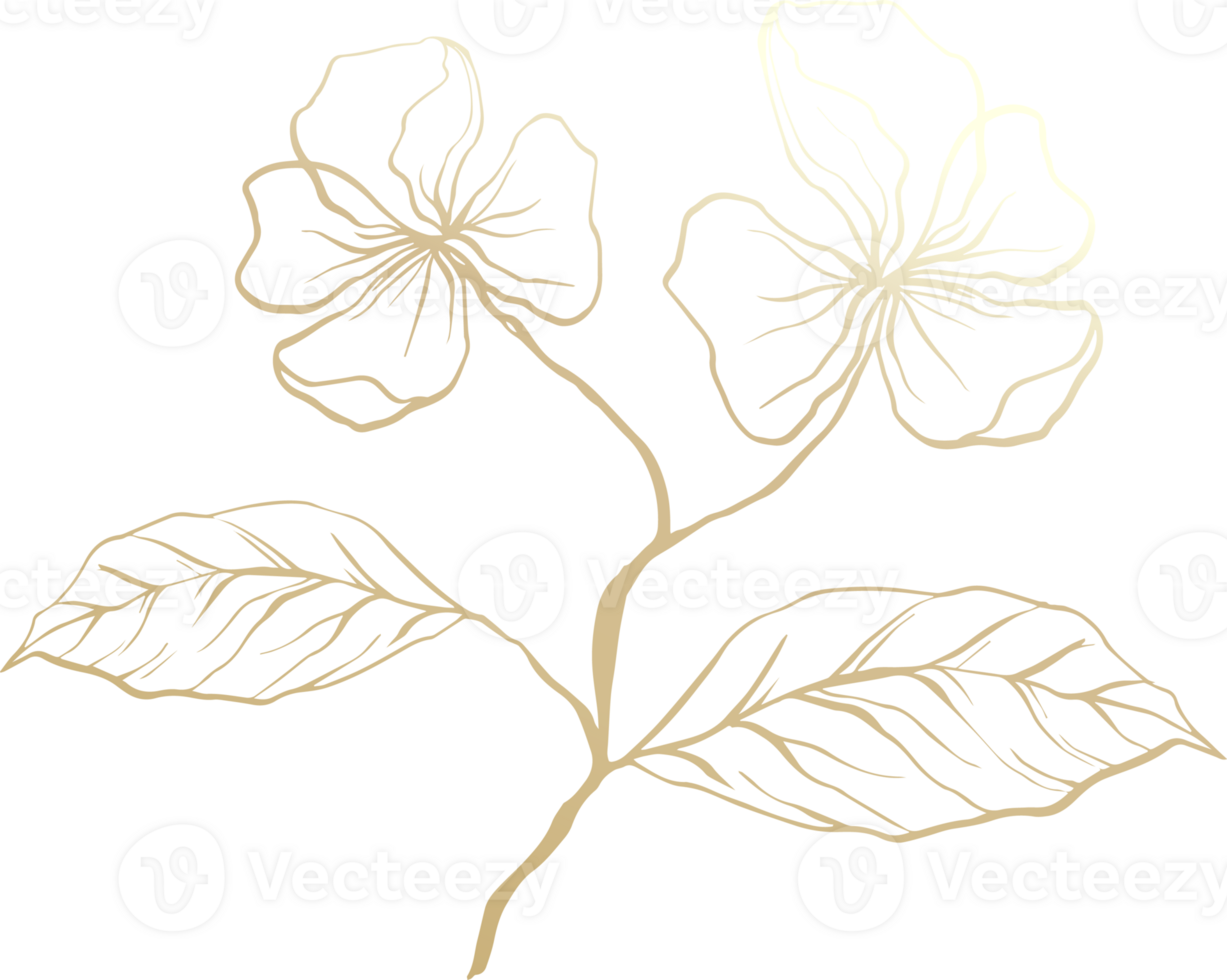 ligne de feuille d'or png