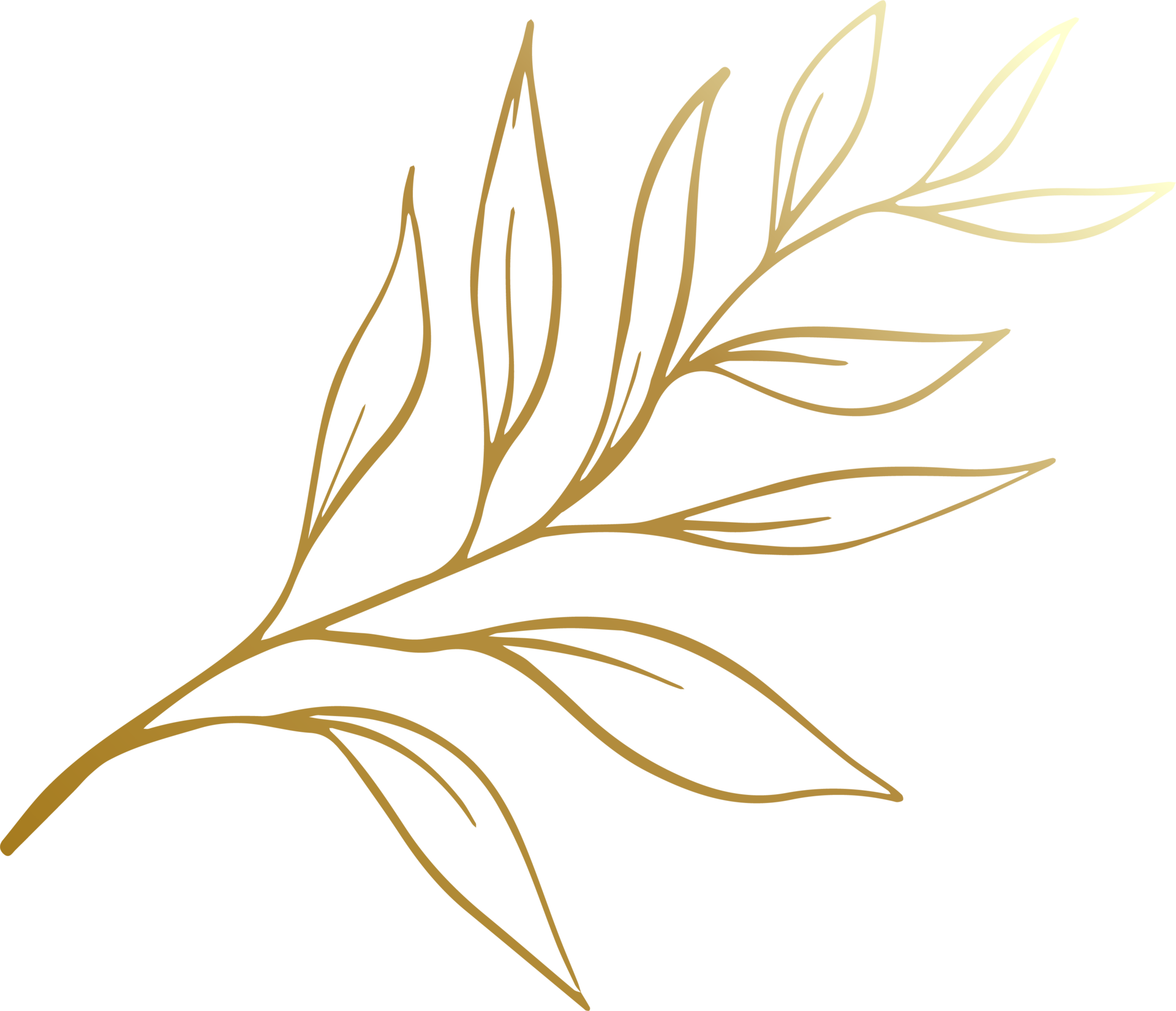 Gold Leaf Line 12414918 PNG