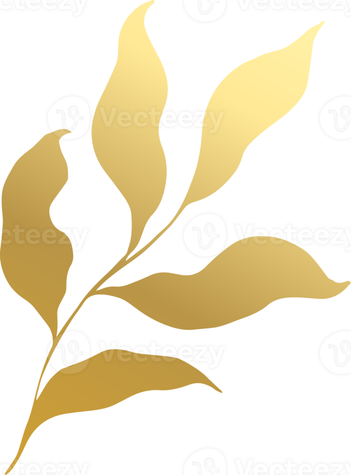 Gold Leaf Illustration png