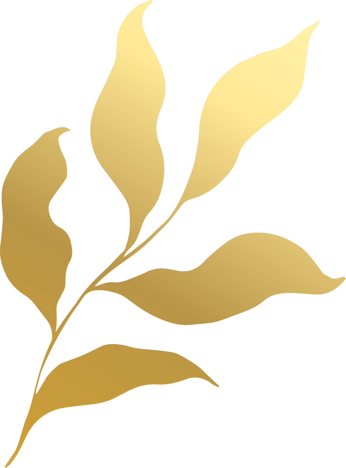 Gold Leaf Line 12414923 PNG