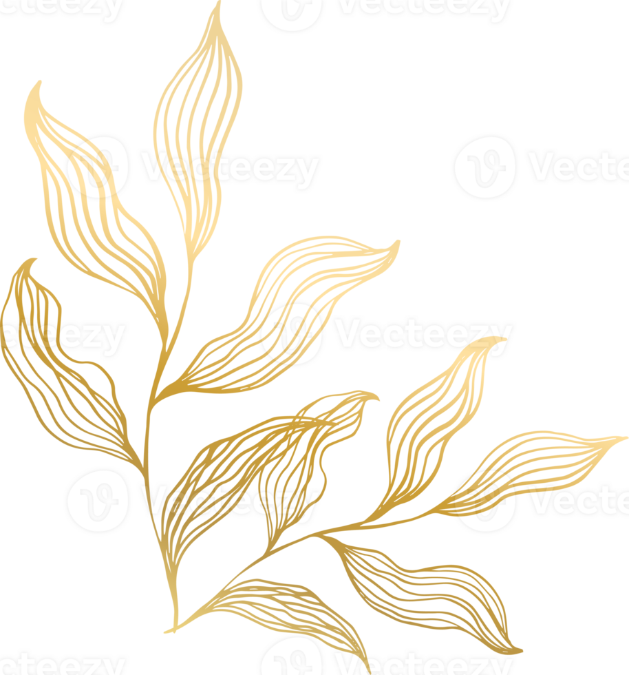 Gold Leaf Line png