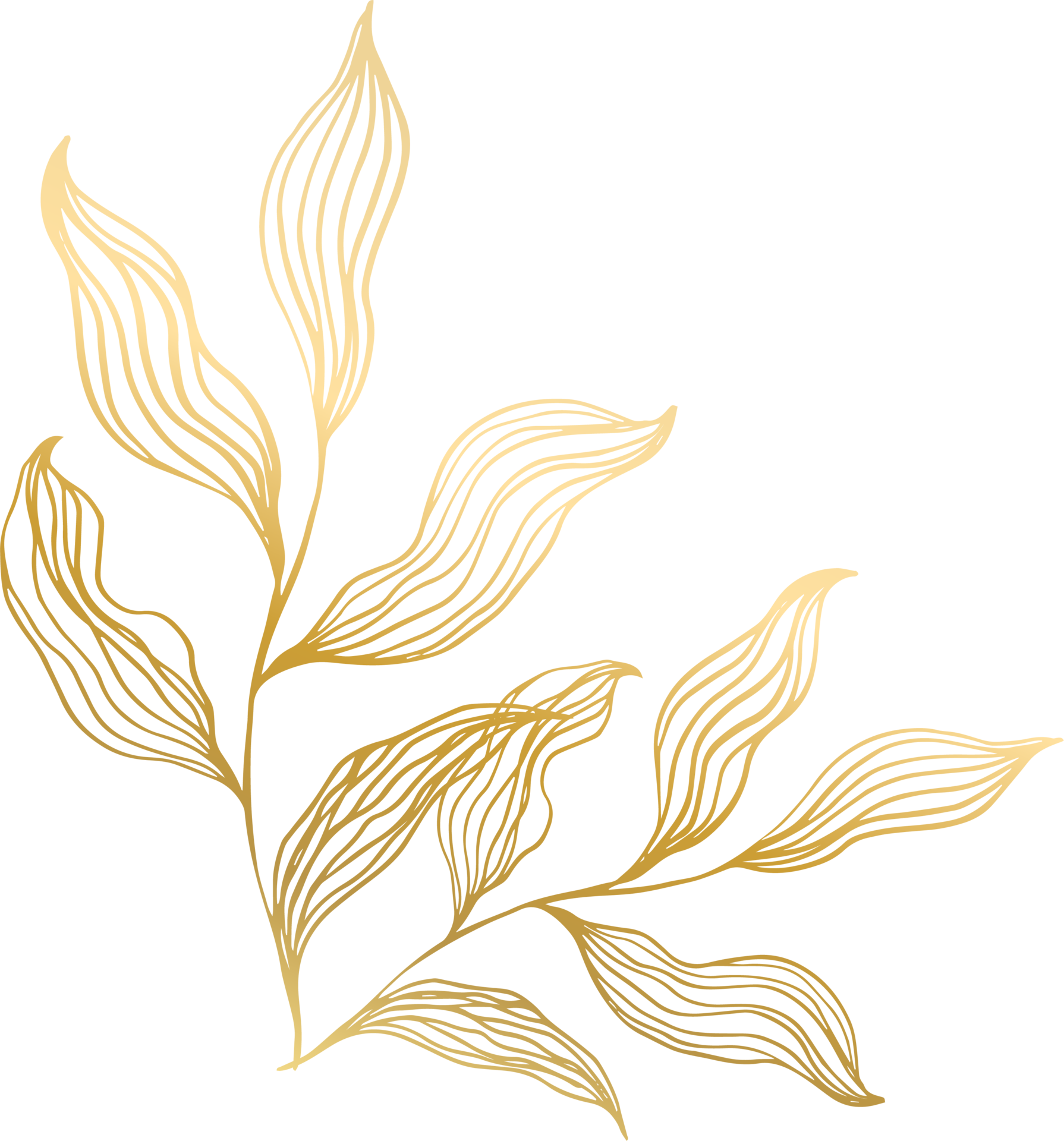 Free Gold Leaf Line 12414923 PNG with Transparent Background