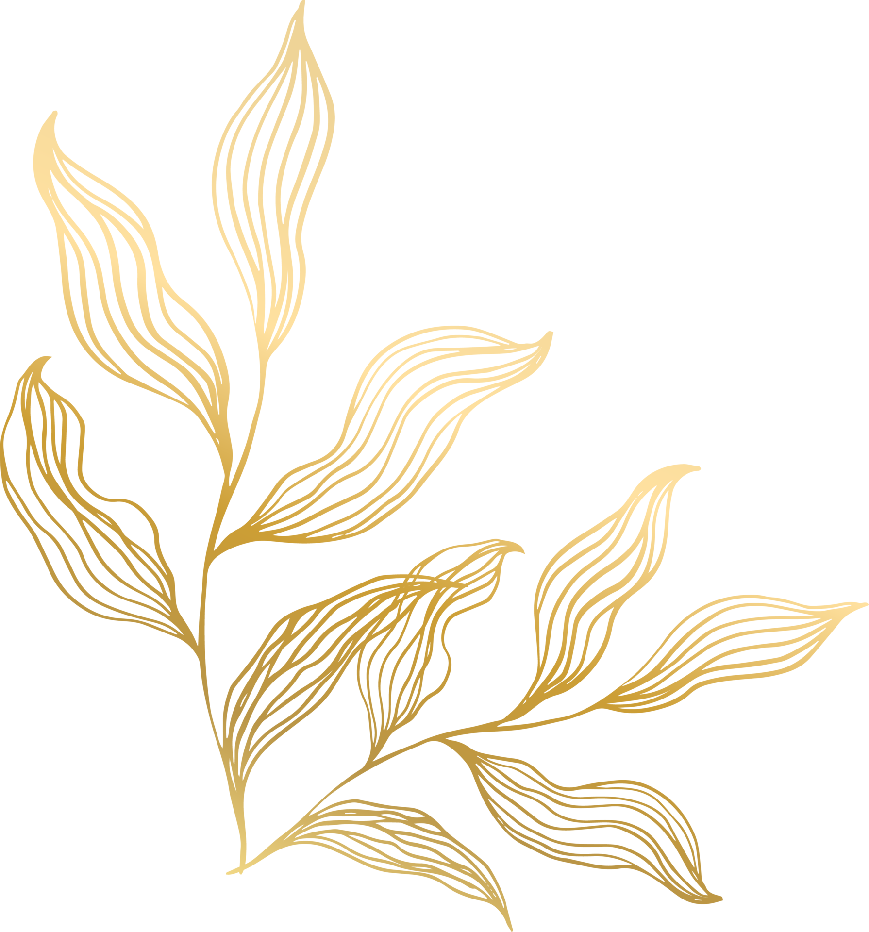 Gold Leaf Line 12414923 PNG
