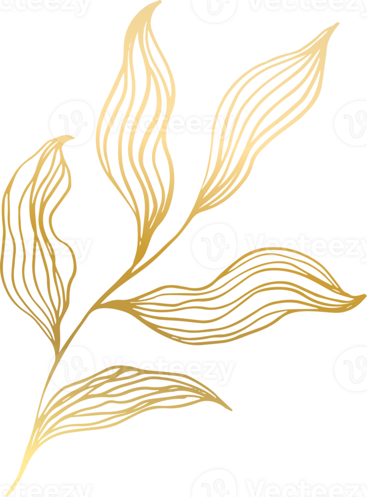 ligne de feuille d'or png