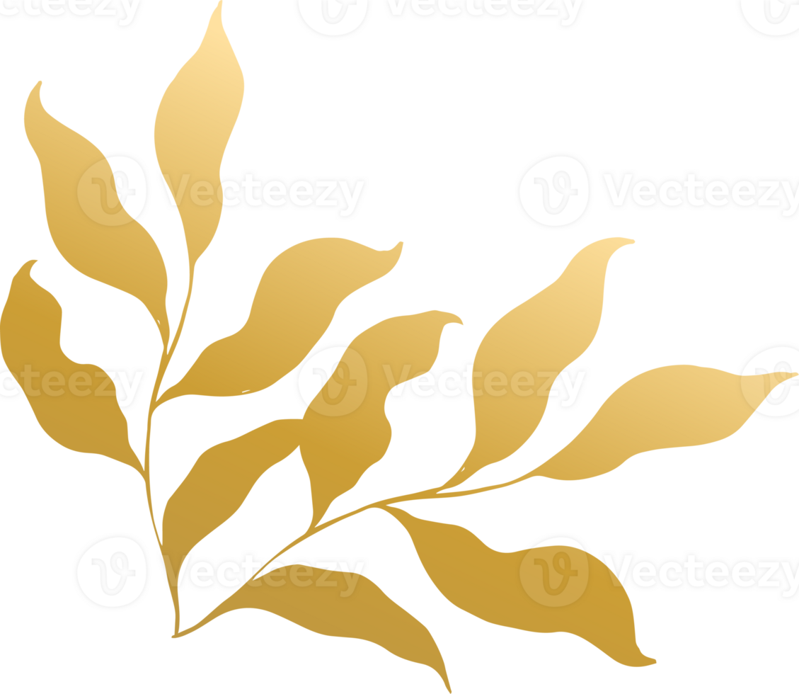 Gold Leaf Illustration png