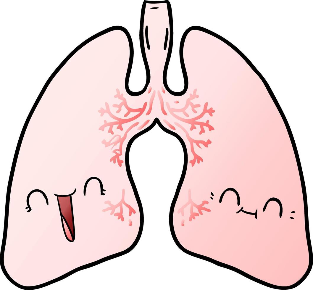 pulmones de dibujos animados de vector