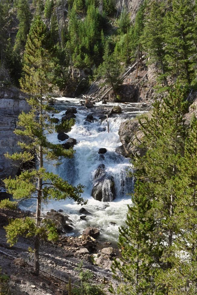 Stunning Waterfall In Firehole Canyon In Yellowstone National Park photo