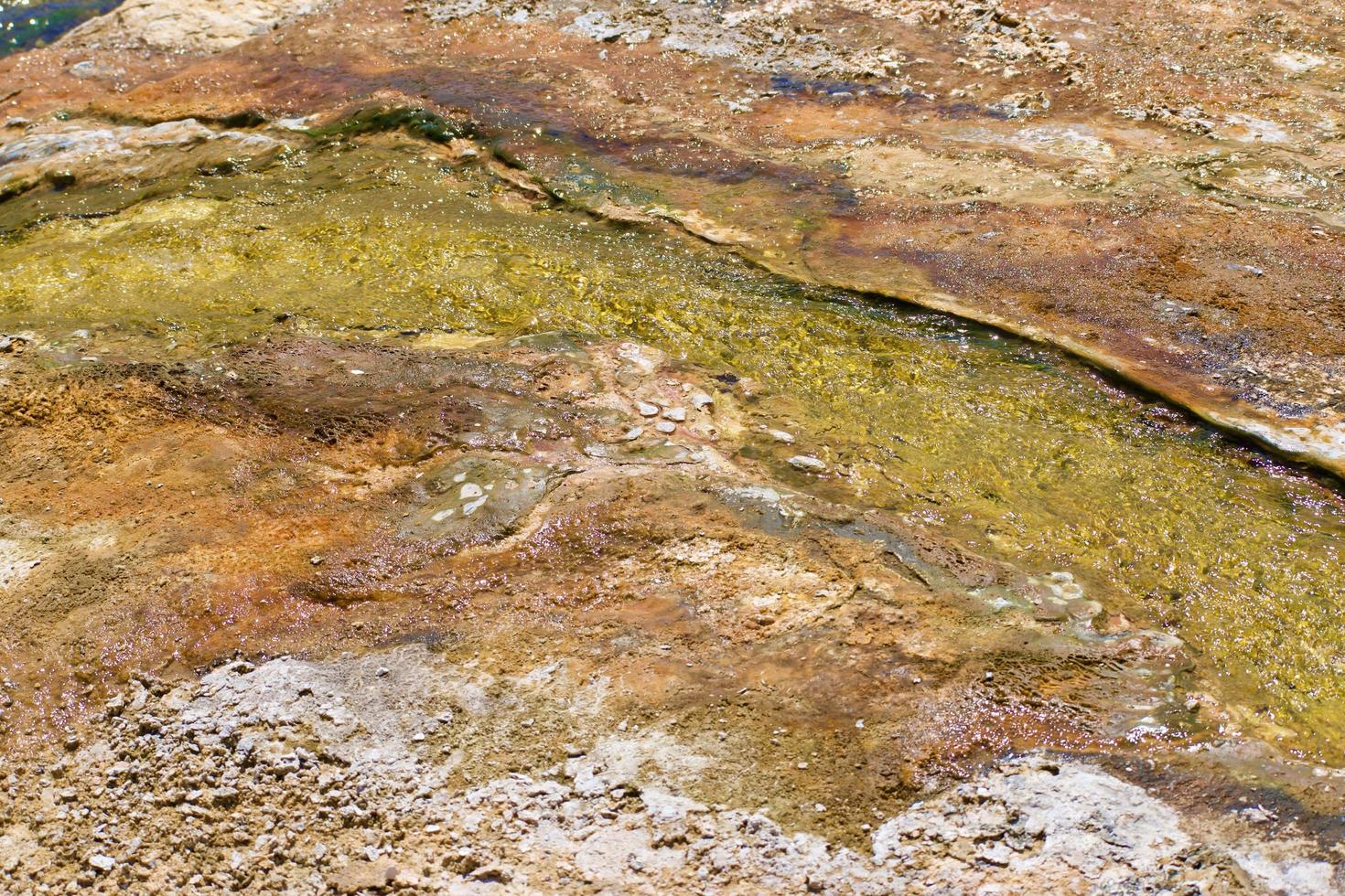 imagen de fondo de la cuenca del géiser termal en el parque nacional de yellowstone foto