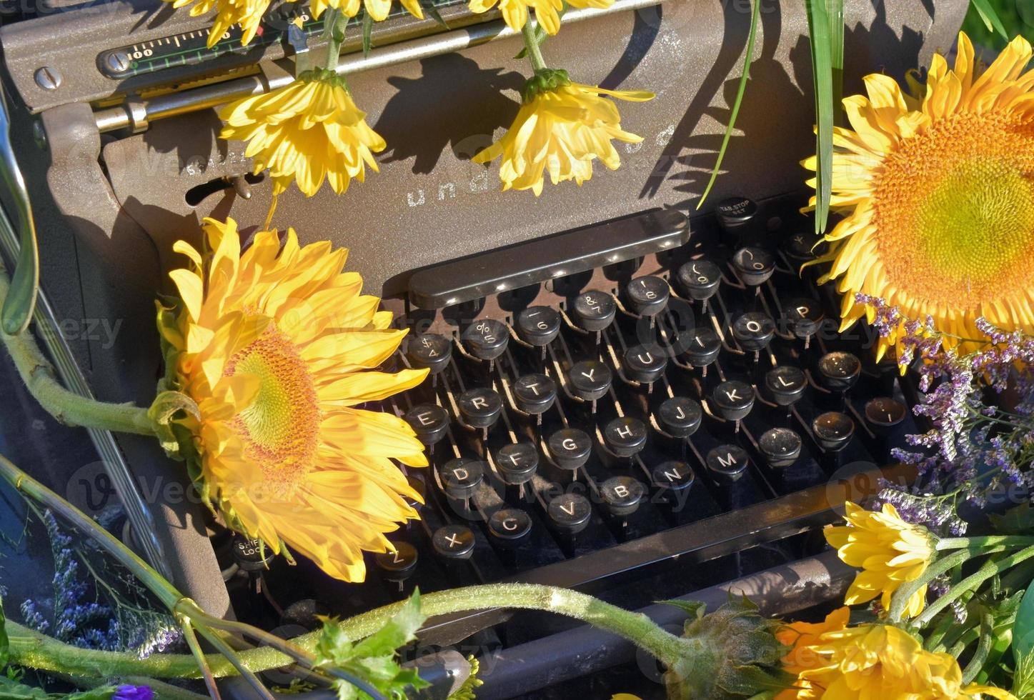 máquina de escribir antigua con girasoles foto