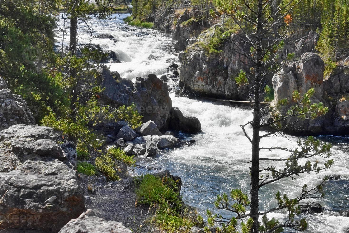 White Water Rapids Running Through Firehole Canyon In Yellowstone National Park photo