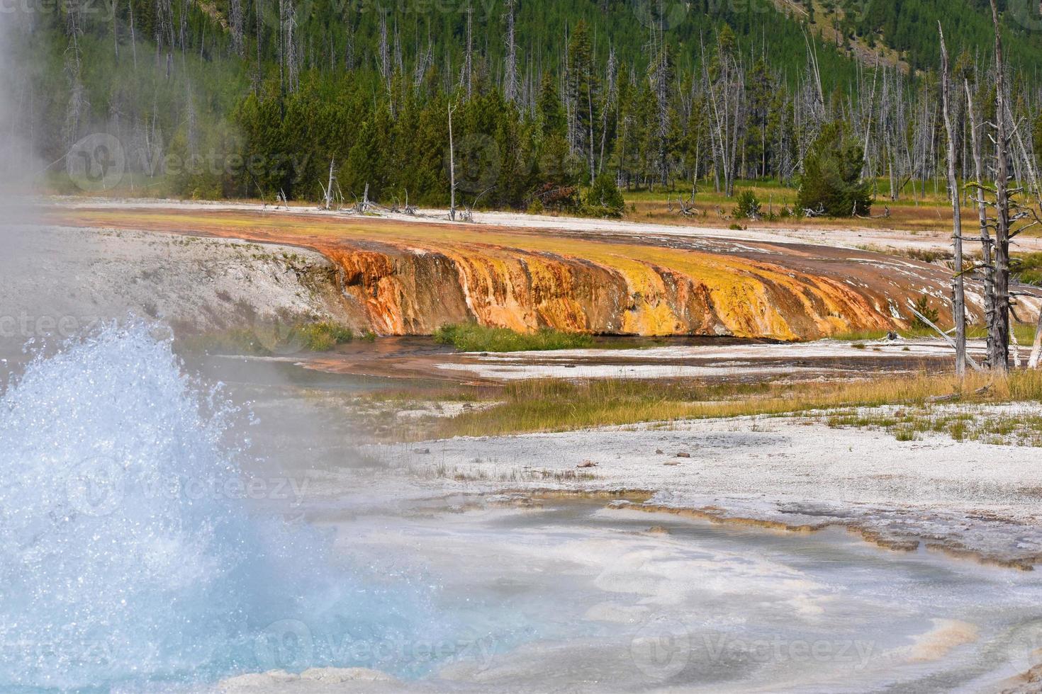 Geyser Eruption In Thermal Pool Area Of Geyser Basin In Yellowstone National Park photo