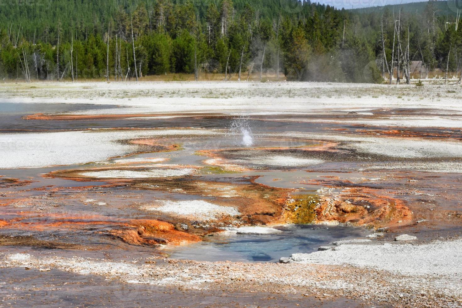 Small Geyser Eruption In Geyser Basin In Yellowstone National Park photo