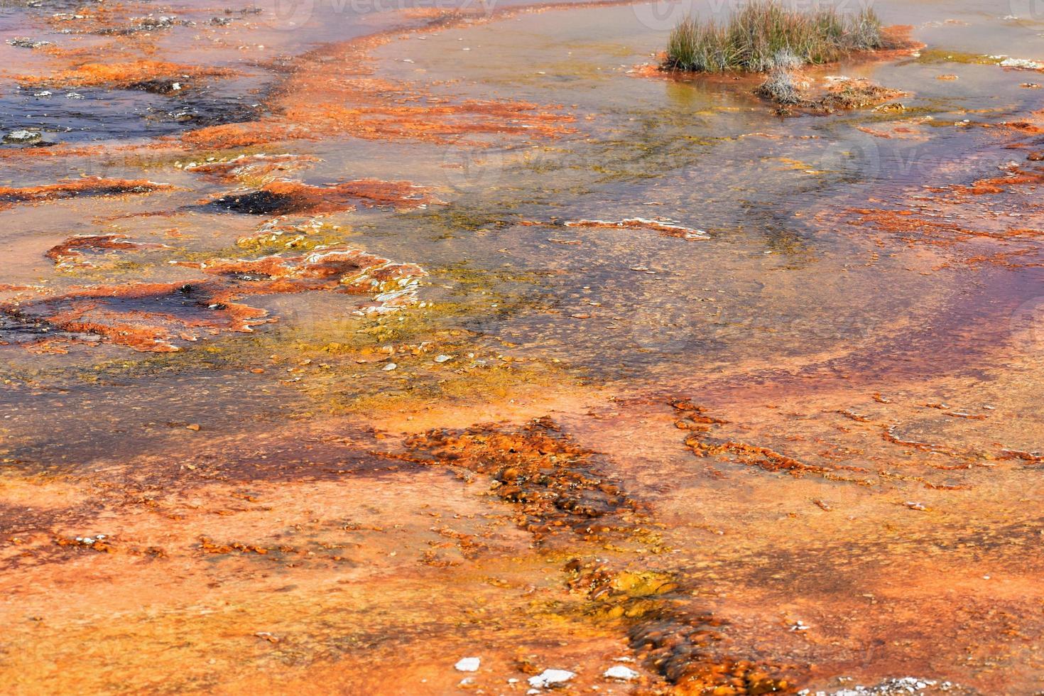 Beautiful Orange Thermal Area In Geyser Basin In Yellowstone National Park photo