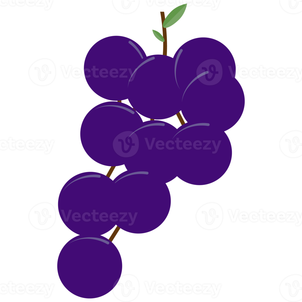 flaches Design-Sammlungsset der Traubenfrucht png