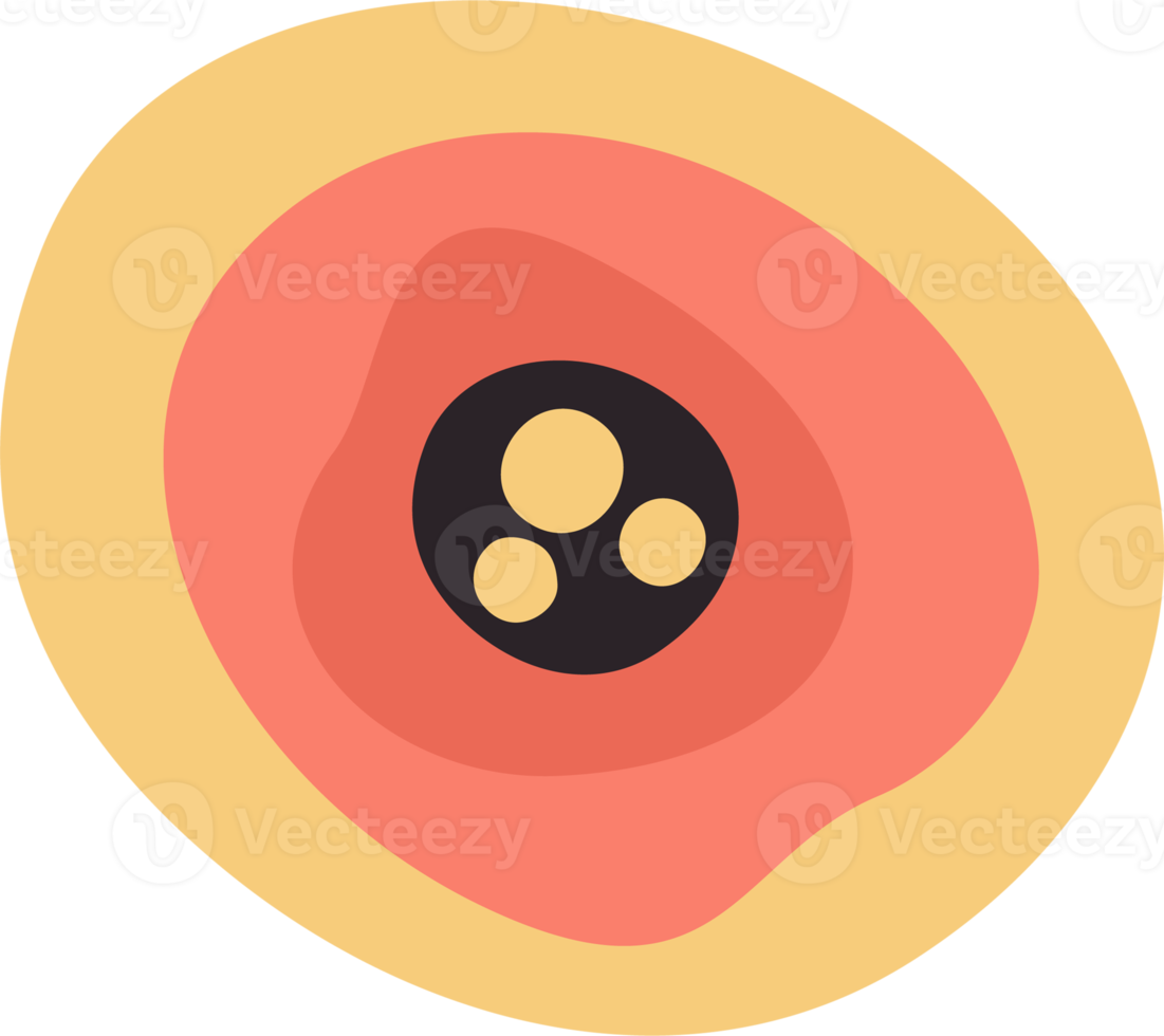 blommig element. isolerat illustration. png