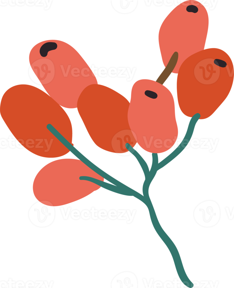 bloemen element. takje met bessen png