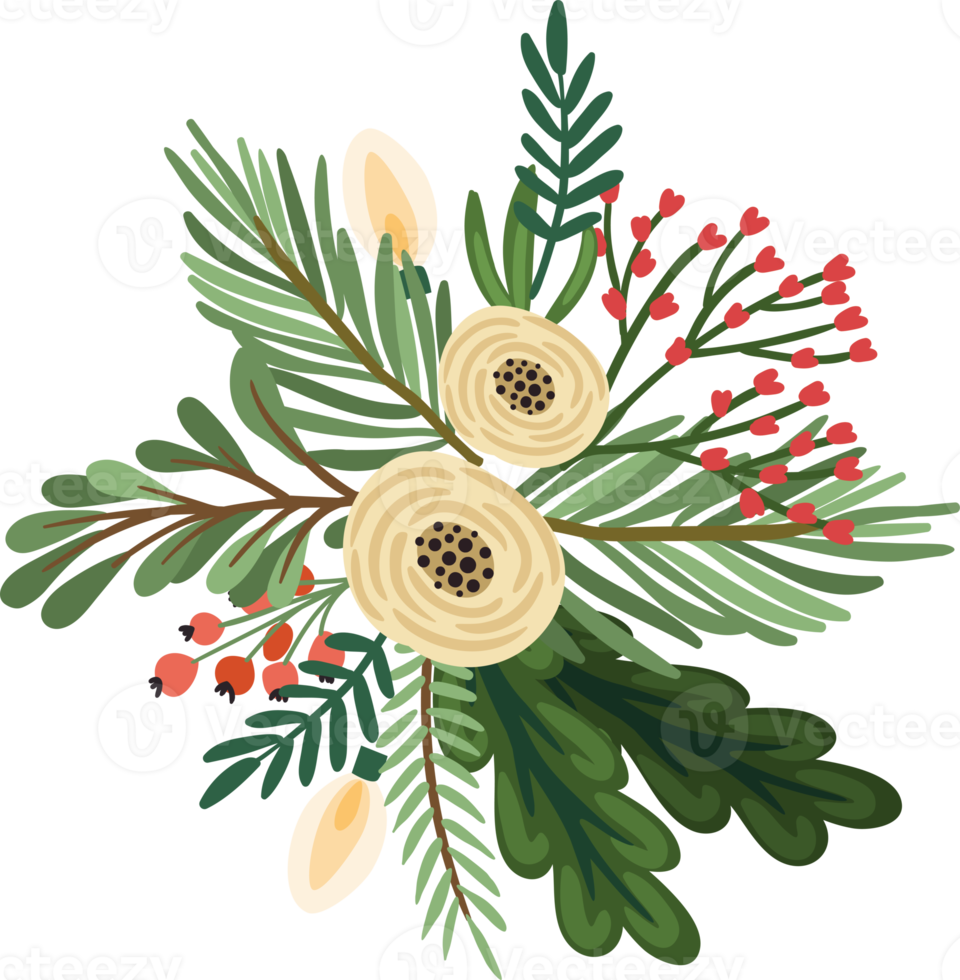 Christmas flowers. Isolated illustration. png