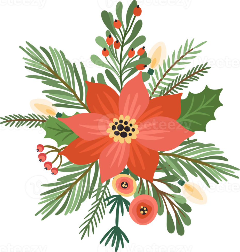 Christmas flowers. Isolated illustration. png