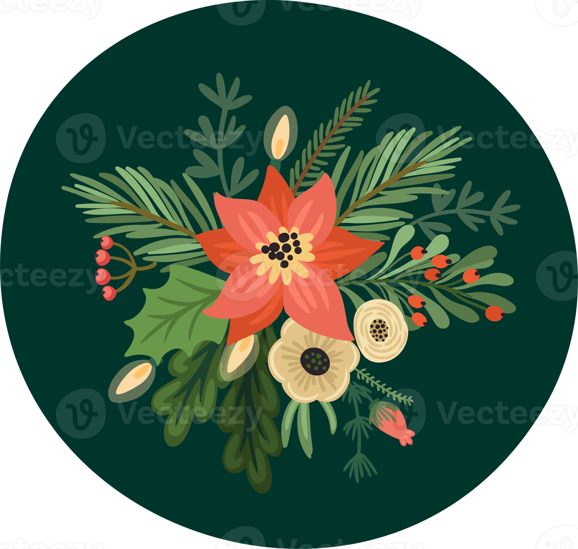 Christmas flowers. Isolated illustration. 12421347 PNG