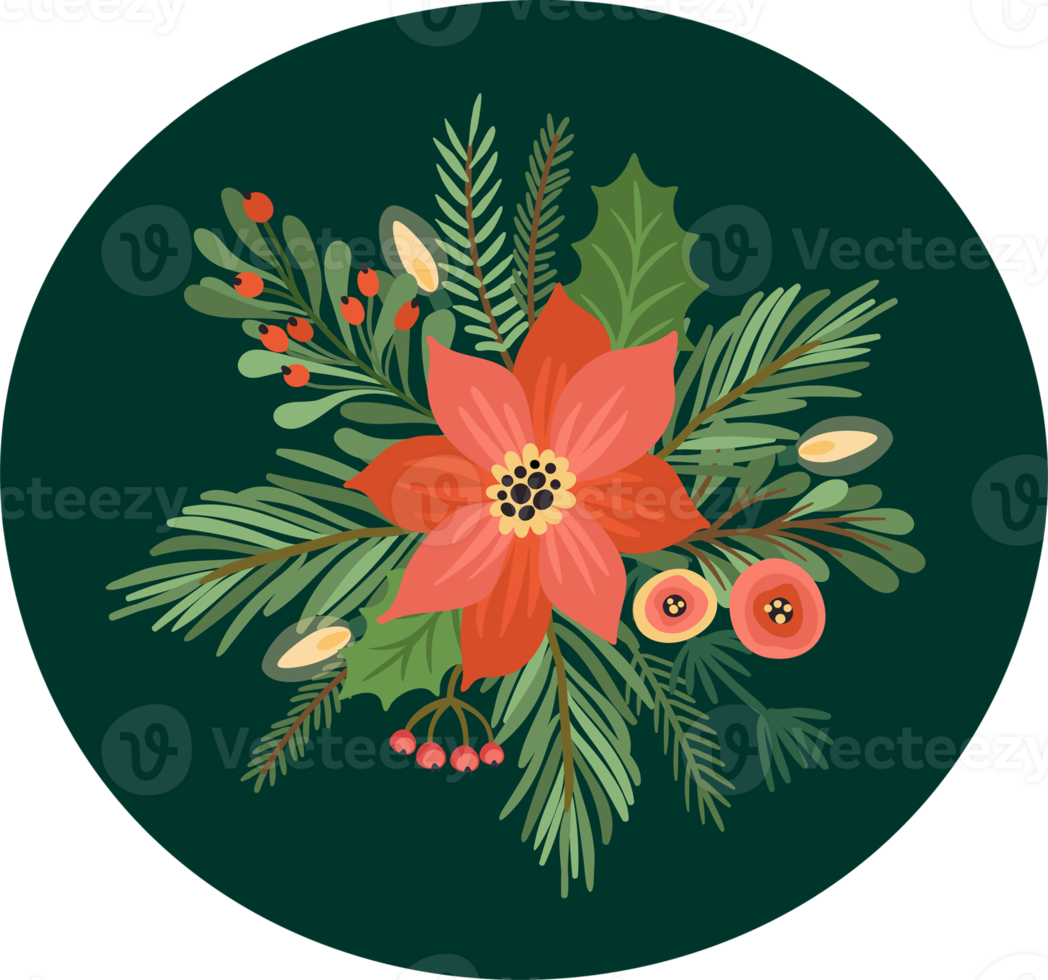 Christmas flowers. Isolated illustration. png