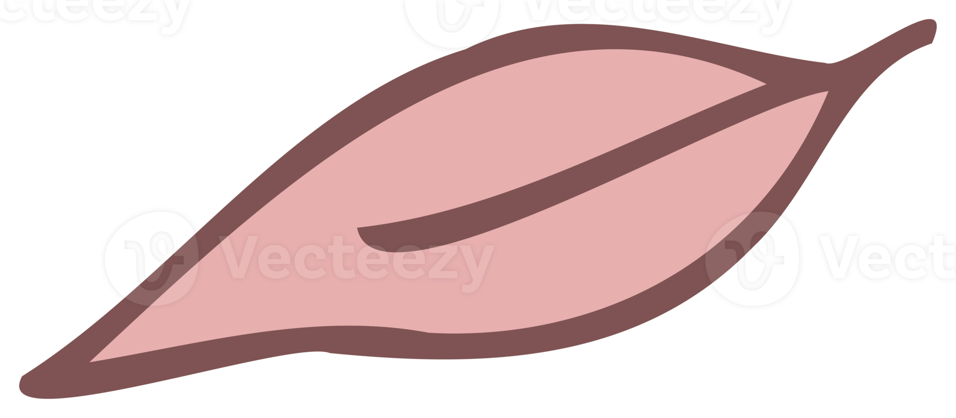 Plant illustration. Nature design element. PNG with transparent background.