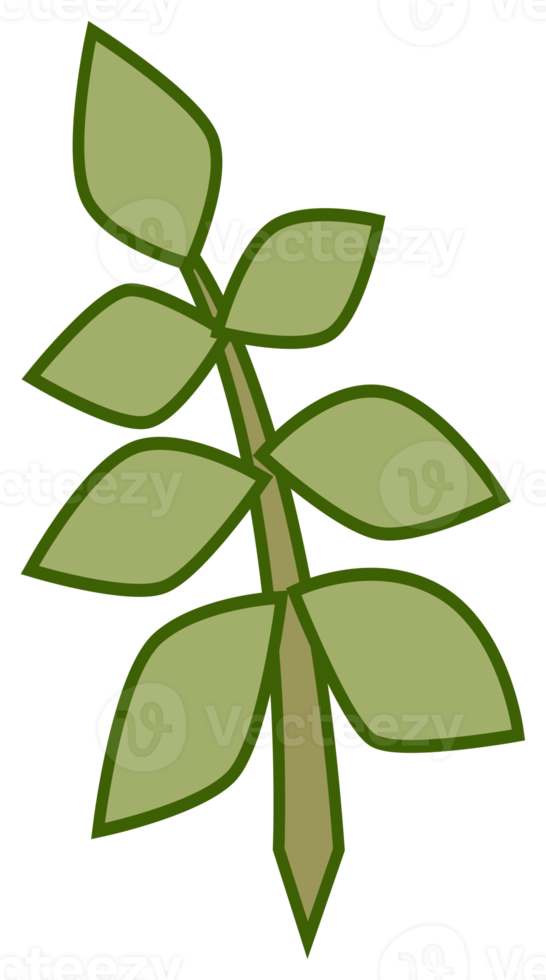 Plant illustration. Nature design element. PNG with transparent background.