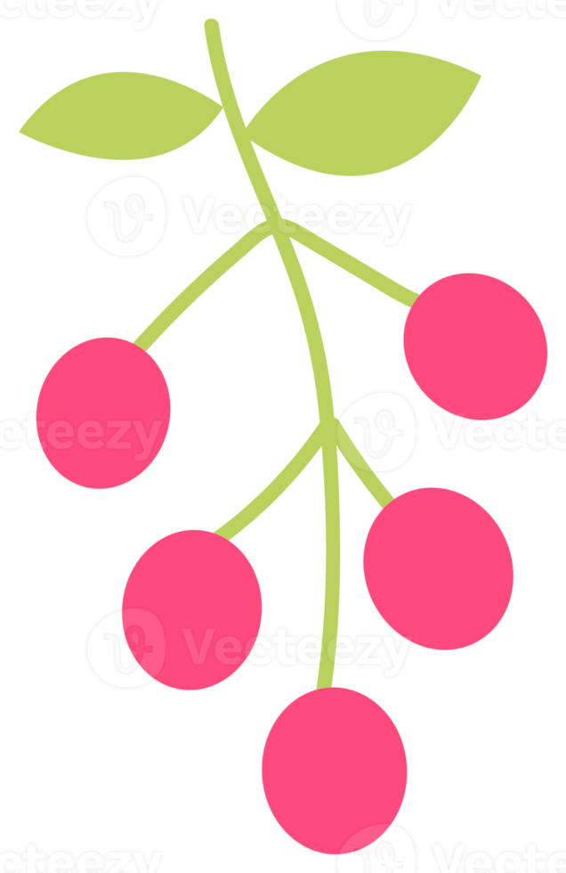 décoration végétale, élément de design nature. png avec fond transparent.