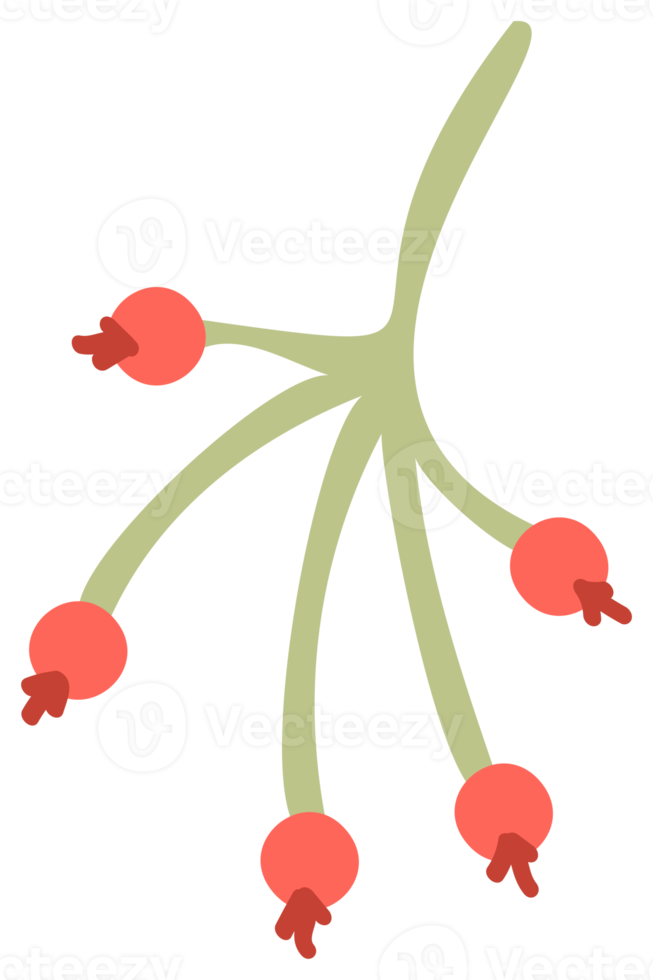 växt dekoration, natur design element. png med transparent bakgrund.