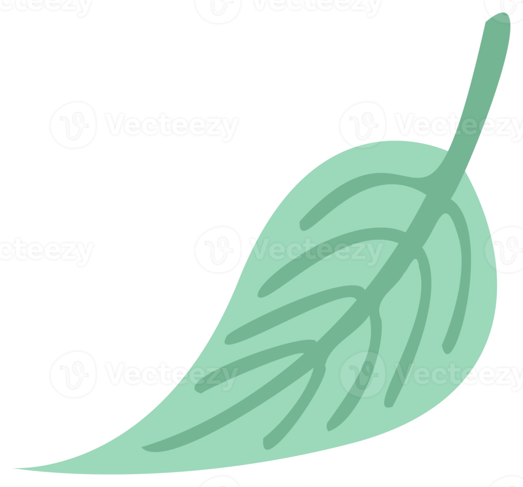 Plant decoration, nature design element. PNG with transparent background.