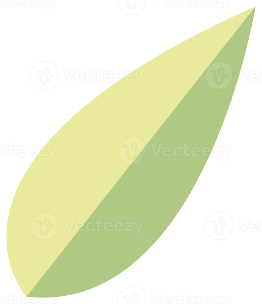Plant decoration, nature design element. PNG with transparent background.