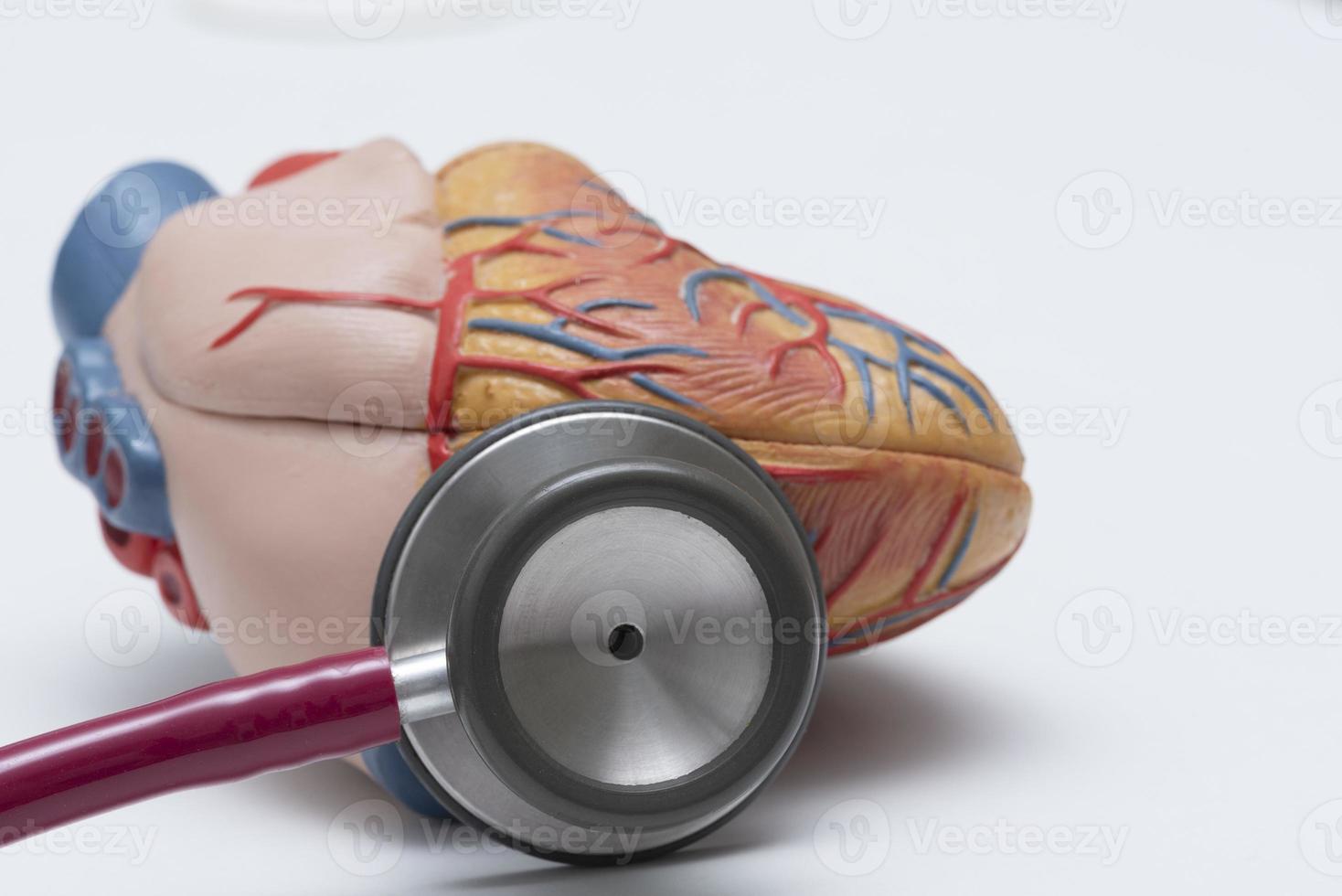 A stethoscope and heart model on the table photo