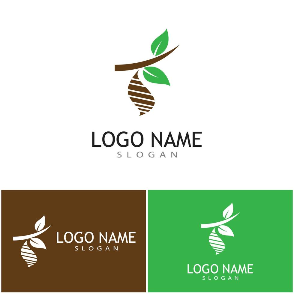 Cocoon illustration logo vector design