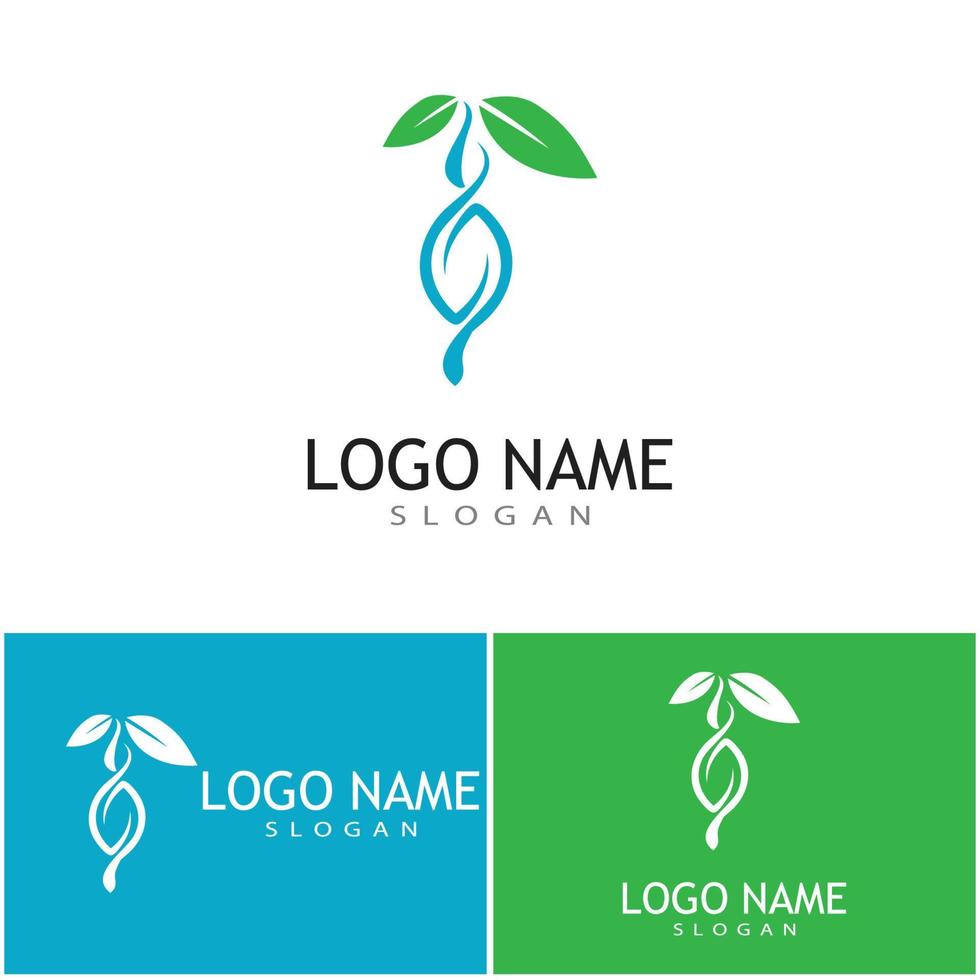 Cocoon illustration logo vector design