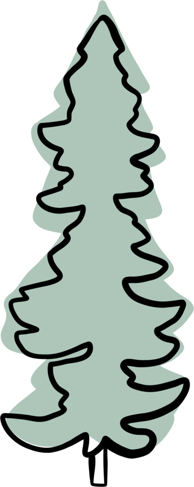 simplicity pine tree freehand drawing flat design. png