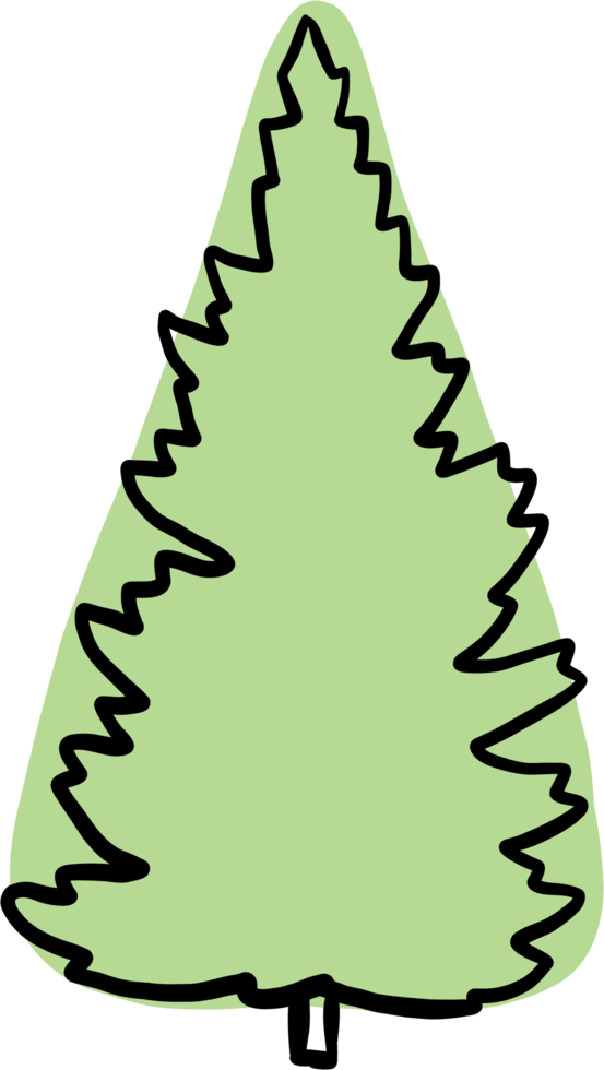 simplicity pine tree freehand drawing flat design. png